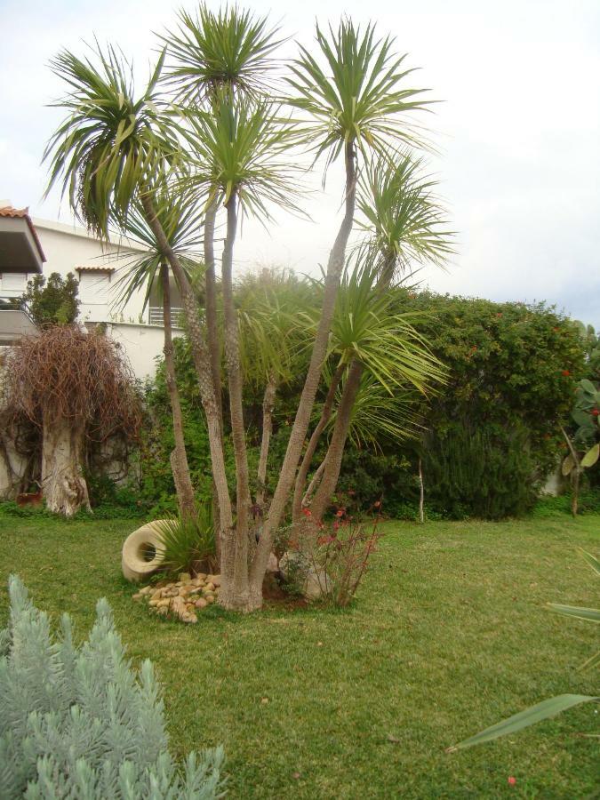 La Casa A Mare Appartement Artemida  Buitenkant foto